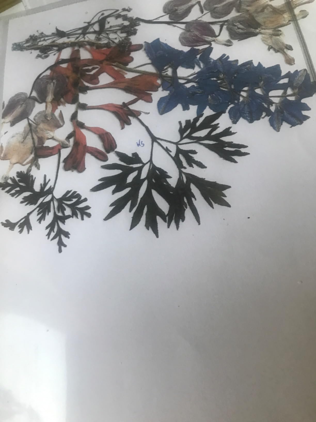 Le foto vengono da manuale
