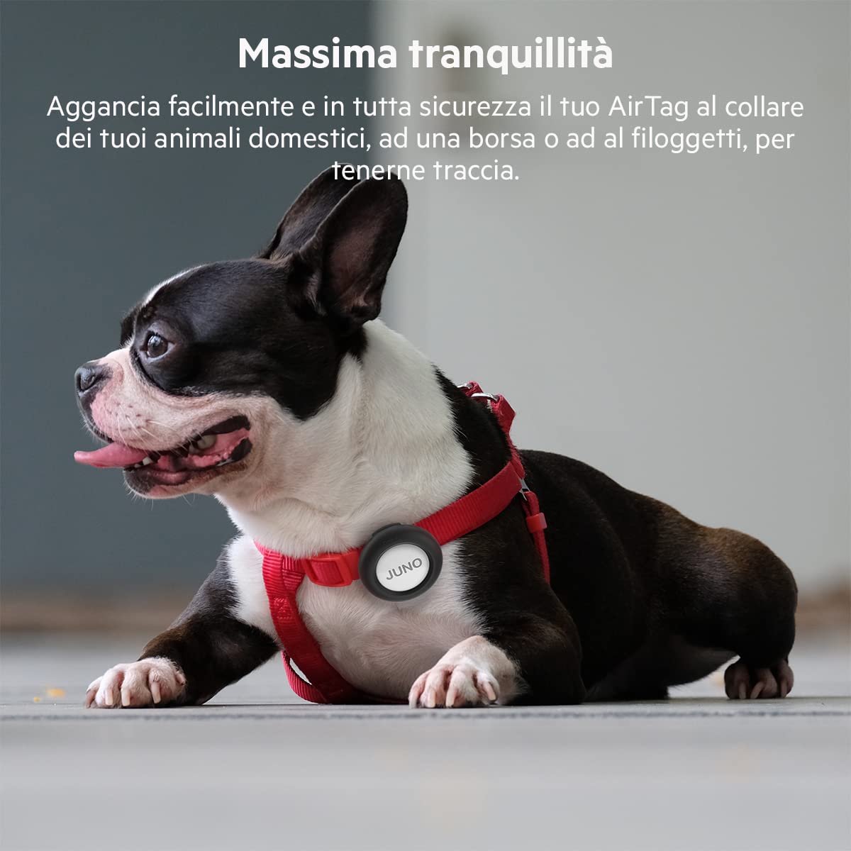 belkin-secure-holder-con-clip-per-apple-airtag-custodia-portachiavi-antigraffio- image 4
