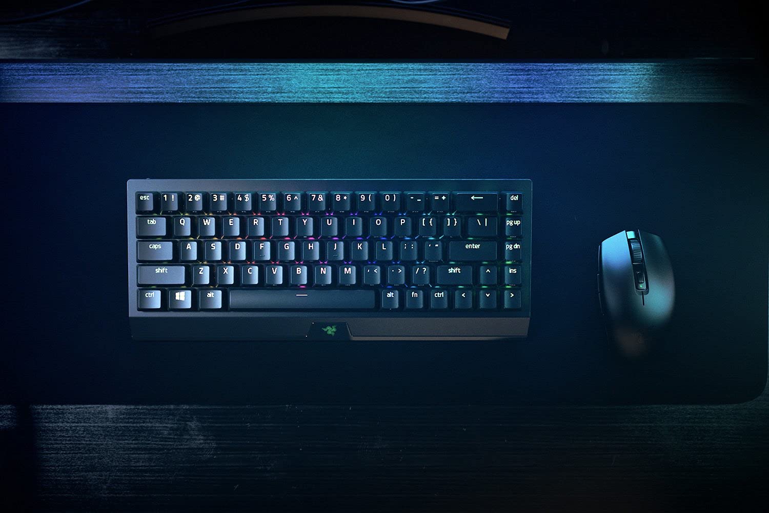 razer-blackwidow-v3-mini-hyperspeed-switch-gialli-tastiera-gaming-meccanica-comp image 7