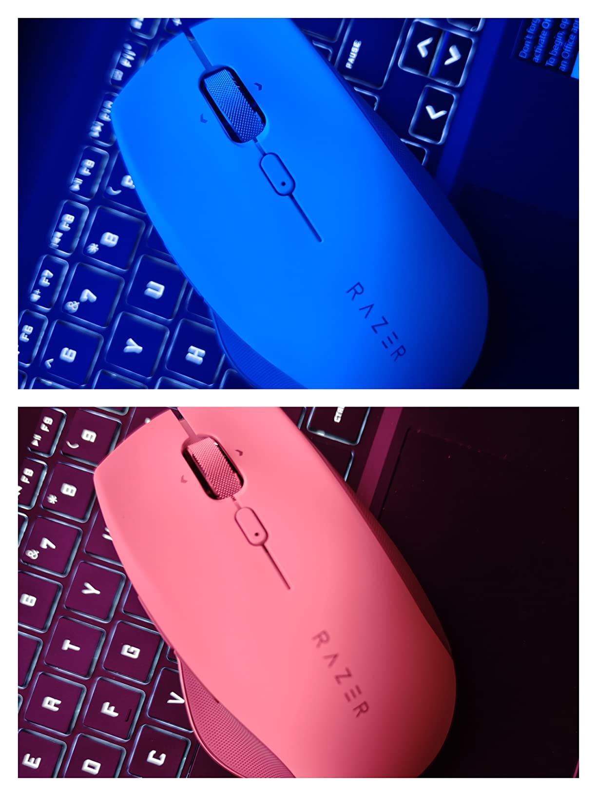 Gran mouse, prezzo giusto