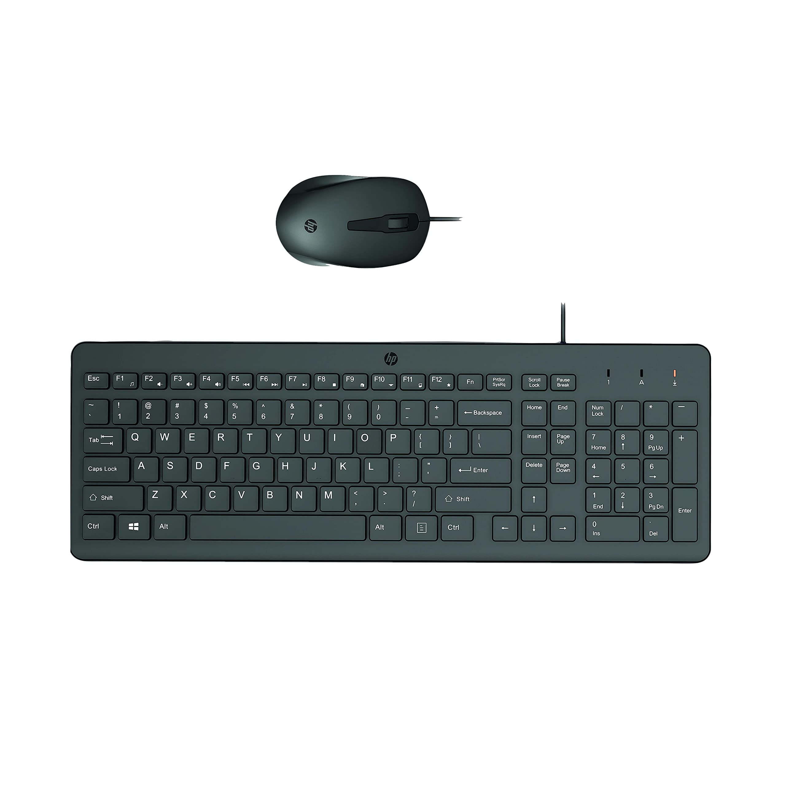 hp-150-combo-tastiera-e-mouse-cablati-usb-con-cavo-100-cm-mouse-ottico-1600-dpi- image 6