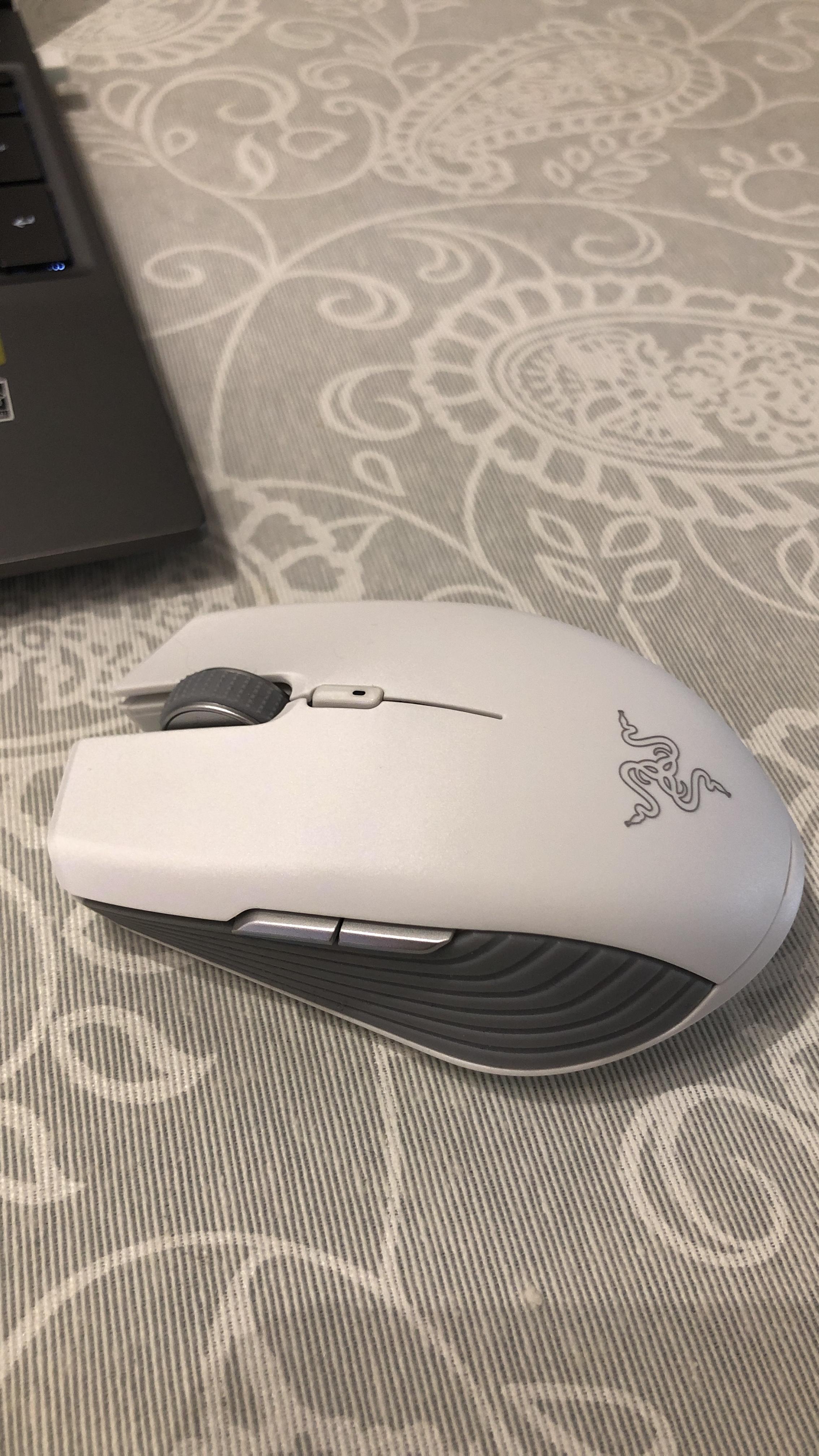 Buon mouse, non per gaming estremo